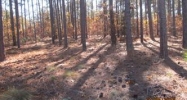 123 Chesterfield Drive Forest Southern Pines, NC 28387 - Image 9065339