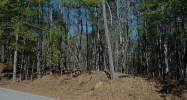 258 White Antelope Street Waleska, GA 30183 - Image 9074027