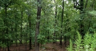 933 Lake Arrowhead Drive Waleska, GA 30183 - Image 9074028