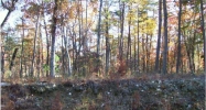 273 Cherokee Drive Waleska, GA 30183 - Image 9074002