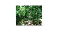 288 Cherokee Drive N Waleska, GA 30183 - Image 9079108