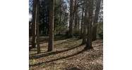 1884 W Virginia Avenue Atlanta, GA 30337 - Image 9080583