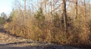 00 County Rd 278 Cullman, AL 35057 - Image 9080878