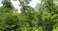 5180 Co Rd 813 Cullman, AL 35057 - Image 9080876