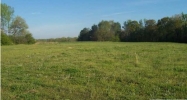 821 COUNTY ROAD 1843 Arab, AL 35016 - Image 9084105