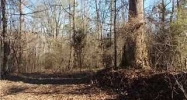 Whippoorwill Drive, 4.7 AC Hayden, AL 35079 - Image 9125912