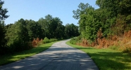 1 Bridle Ridge Lane Canton, GA 30114 - Image 9185039