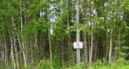 43680 Ross Drive Soldotna, AK 99669 - Image 9195807