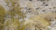 3318 Crestview Ln Lake Havasu City, AZ 86404 - Image 9213246