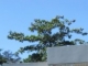 H-7 Estancias Del Rio Sabana Grande, PR 00637 - Image 9226736