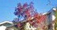 9Th Jamestown, CA 95327 - Image 9252755