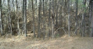 8410 Donald Road Snellville, GA 30039 - Image 9262579