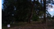 1902 NW 111 ST Miami, FL 33167 - Image 9304635