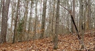 0 Bearden Lake Road Adairsville, GA 30103 - Image 9307444