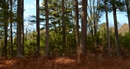 7239 Wallace Tatum Road Cumming, GA 30028 - Image 9324678
