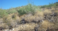 12638 N 132ND Street Scottsdale, AZ 85259 - Image 9340910