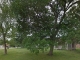 Allen St Firth, NE 68358 - Image 9344338