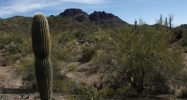 75 AC W FOREPAUGH AIRPORT Road Wickenburg, AZ 85390 - Image 9360364