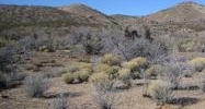 0000 Silver Springs Kingman, AZ 86401 - Image 9363038