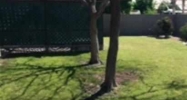 969 W 34 ST Yuma, AZ 85365 - Image 9363804
