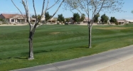 16486 W Lava Drive Surprise, AZ 85374 - Image 9369066