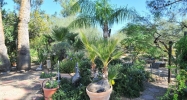 7102 E Larkspur Drive Scottsdale, AZ 85254 - Image 9373846