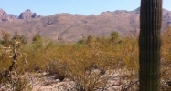 3955 Avenida De Montezuma Tucson, AZ 85749 - Image 9375011