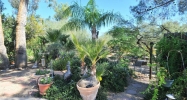7102 E Larkspur Drive Scottsdale, AZ 85254 - Image 9393412