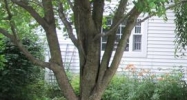 135 Cross Street Harveysburg, OH 45032 - Image 9410162