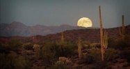 Xxxxx N 148th Scottsdale, AZ 85262 - Image 9421703