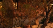 2731 82nd St Mesa, AZ 85207 - Image 9441319