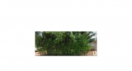1870 NE 199TH ST Miami, FL 33179 - Image 9459180