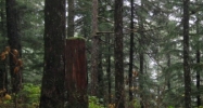 5201 Thane Road Juneau, AK 99801 - Image 9464144