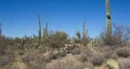R 0 Decker Tucson, AZ 85742 - Image 9503523