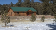 141 Cabin Lane Guffey, CO 80820 - Image 9523260
