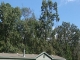 Lot 70 71 Sandlewood Lo Avinger, TX 75630 - Image 9542002