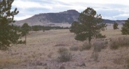 100 E Cobb Ln Guffey, CO 80820 - Image 9554587