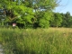 1 Moss Circle Monteagle, TN 37356 - Image 9554722