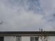 4199 Hopewell Indian Rd Glenford, OH 43739 - Image 9562305