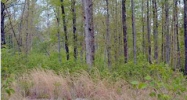0 Bancroft Rd Mc Donald, TN 37353 - Image 9564063