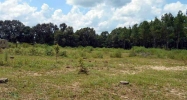 962 Austin Road Black, AL 36314 - Image 9595154