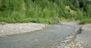 L73 Cache Creek Recreational Trapper Creek, AK 99683 - Image 9636083