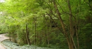 2802 Lansdowne Court Se Atlanta, GA 30339 - Image 9638025