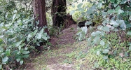 0 BEAVER LOOP RD North Bend, OR 97459 - Image 9662455