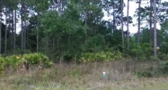 Lucy Ln S Lot 6 & 7 Panacea, FL 32346 - Image 9675121