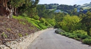 6096 Ramirez Canyon Rd Malibu, CA 90265 - Image 9678550