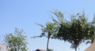 4501 W TOPEKA Drive Glendale, AZ 85308 - Image 9683833