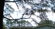 11100 Nw 5th Ave Branford, FL 32008 - Image 9686287