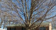 9511 Yellow Pine Ct Louisville, KY 40229 - Image 9699309