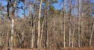 0 Maple Ridge Drive Demorest, GA 30535 - Image 9724620